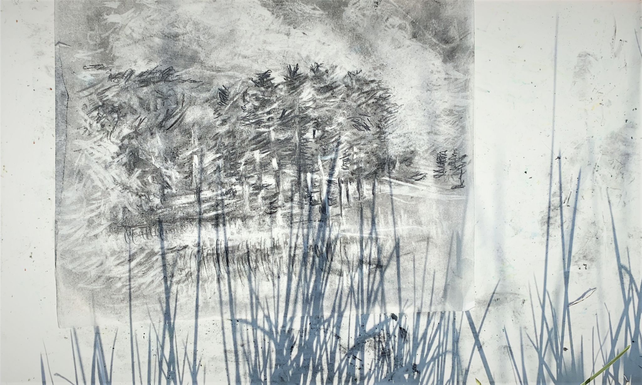 Gegen Humbelköpfli mit Vordergrund